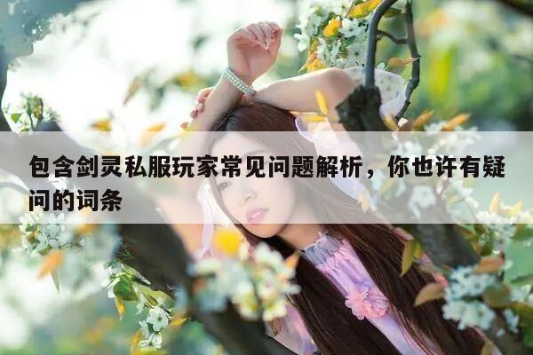 包含剑灵私服玩家常见问题解析，你也许有疑问的词条