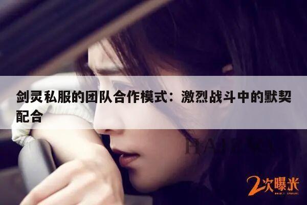 剑灵私服的团队合作模式：激烈战斗中的默契配合