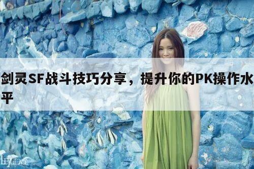 剑灵SF战斗技巧分享，提升你的PK操作水平