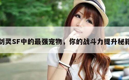 剑灵SF中的最强宠物，你的战斗力提升秘籍