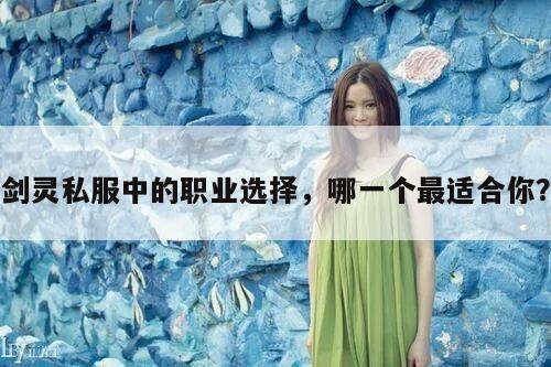 剑灵私服中的职业选择，哪一个最适合你？