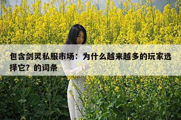 包含剑灵私服市场:为什么越来越多的玩家选择它?的词条