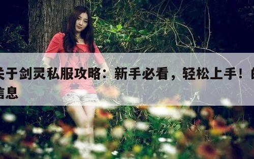 关于剑灵私服攻略：新手必看，轻松上手！的信息