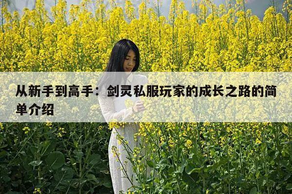 从新手到高手：剑灵私服玩家的成长之路的简单介绍