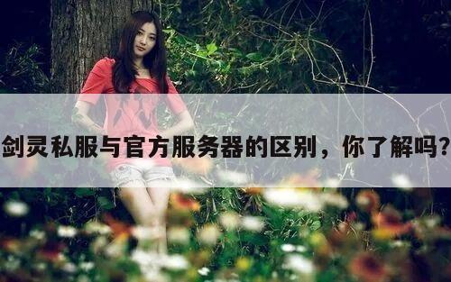 剑灵私服与官方服务器的区别，你了解吗？