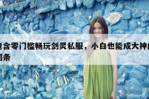 包含零门槛畅玩剑灵私服，小白也能成大神的词条