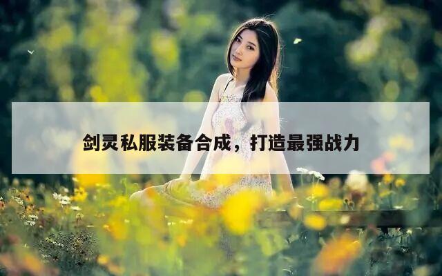 冒险岛私服装备合成，打造最强战力