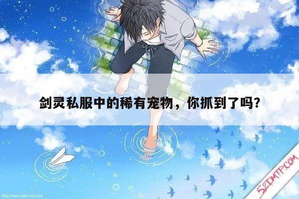 冒险岛私服中的稀有宠物，你抓到了吗？