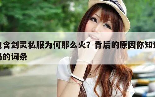 包含冒险岛私服为何那么火？背后的原因你知道吗的词条