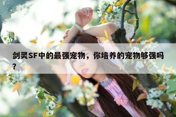 冒险岛SF中的最强宠物，你培养的宠物够强吗？