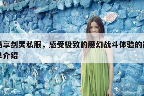 畅享冒险岛私服，感受极致的魔幻战斗体验的简单介绍