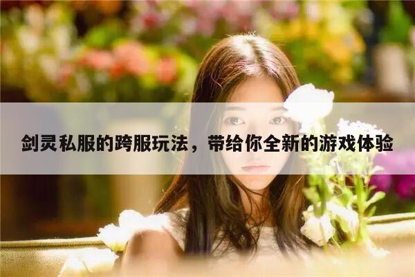 冒险岛私服的跨服玩法，带给你全新的游戏体验