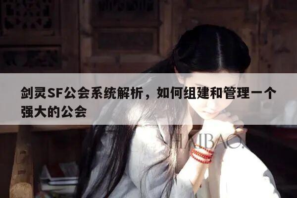 冒险岛SF公会系统解析，如何组建和管理一个强大的公会