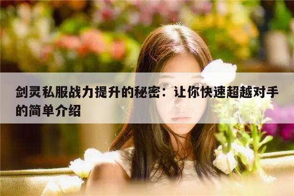 冒险岛私服战力提升的秘密：让你快速超越对手的简单介绍