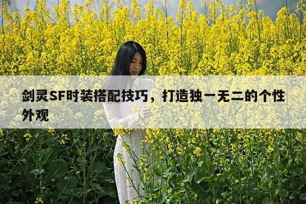 冒险岛SF时装搭配技巧，打造独一无二的个性外观