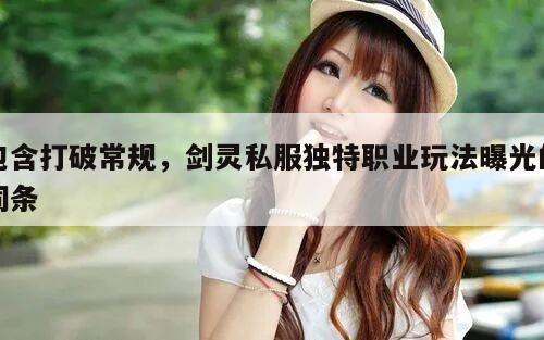 包含打破常规，冒险岛私服独特职业玩法曝光的词条