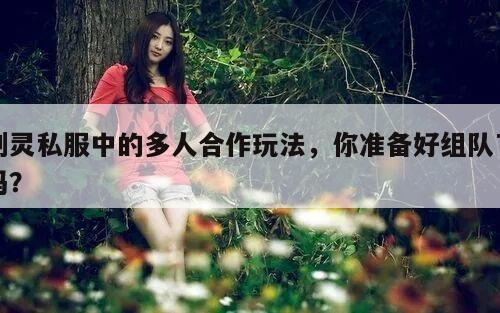 冒险岛私服中的多人合作玩法，你准备好组队了吗？