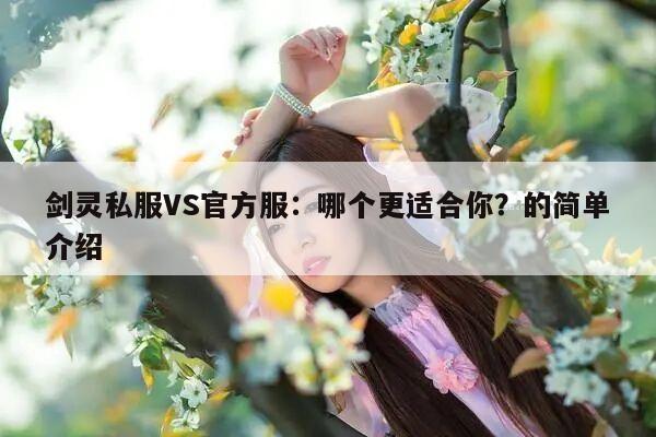 冒险岛私服VS官方服：哪个更适合你？的简单介绍