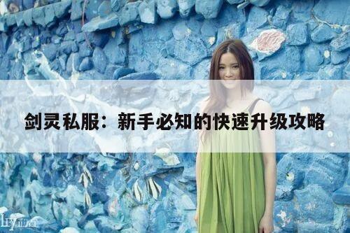 冒险岛私服：新手必知的快速升级攻略