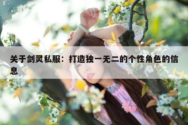 关于冒险岛私服：打造独一无二的个性角色的信息