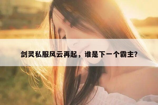 冒险岛私服风云再起，谁是下一个霸主？