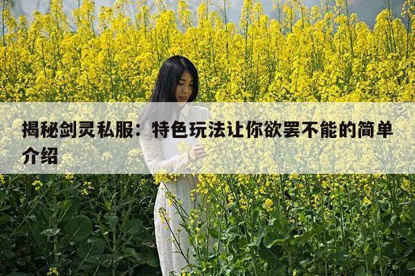 揭秘冒险岛私服：特色玩法让你欲罢不能的简单介绍