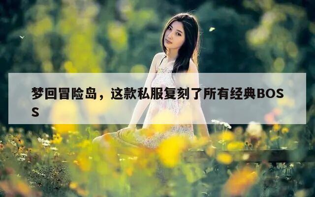 梦回冒险岛，这款私服复刻了所有经典BOSS