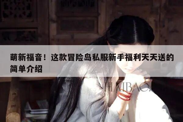 萌新福音！这款冒险岛私服新手福利天天送的简单介绍