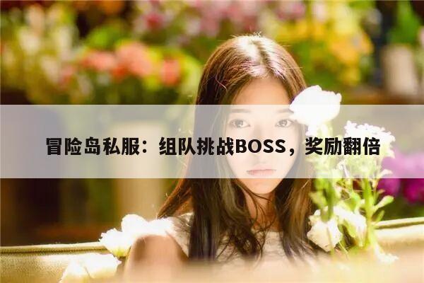 冒险岛私服：组队挑战BOSS，奖励翻倍