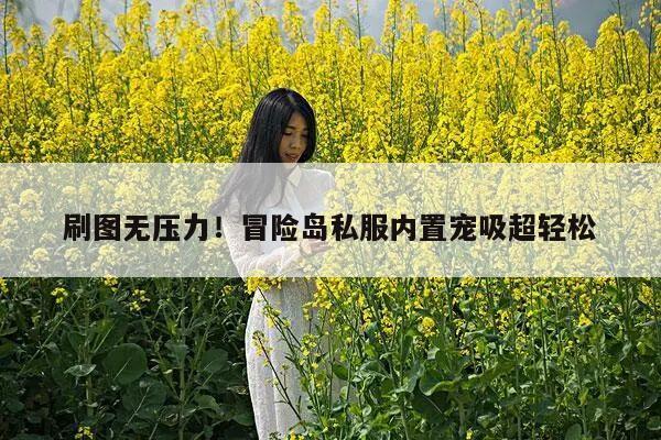 刷图无压力！冒险岛私服内置宠吸超轻松