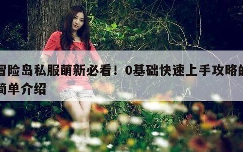 冒险岛私服萌新必看!0基础快速上手攻略的简单介绍