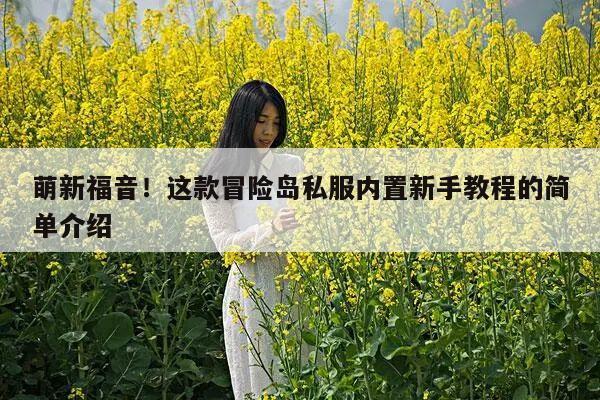 萌新福音！这款冒险岛私服内置新手教程的简单介绍