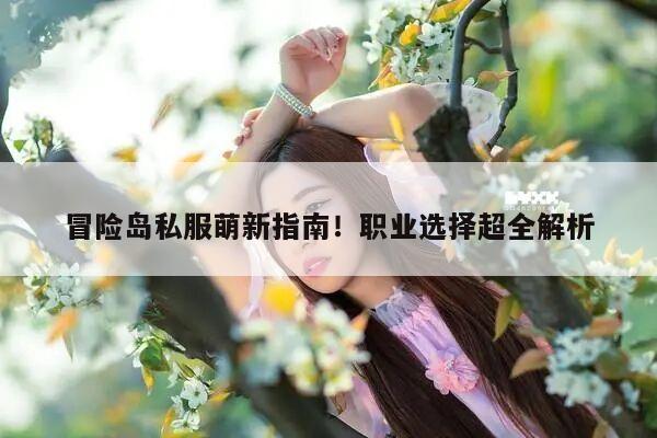 冒险岛私服萌新指南！职业选择超全解析