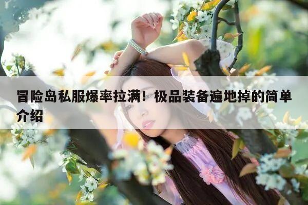 冒险岛私服爆率拉满！极品装备遍地掉的简单介绍