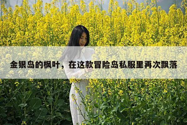 金银岛的枫叶，在这款冒险岛私服里再次飘落