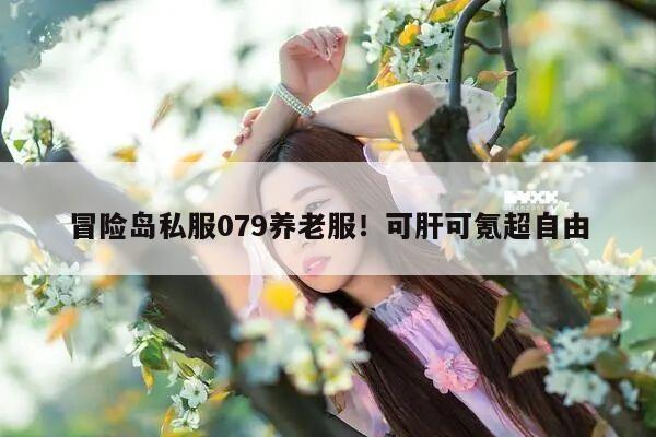 冒险岛私服079养老服！可肝可氪超自由
