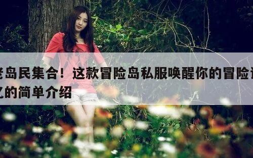 老岛民集合！这款冒险岛私服唤醒你的冒险记忆的简单介绍