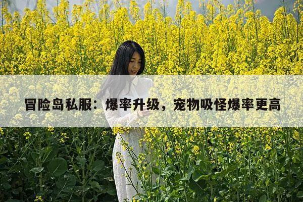 冒险岛私服：爆率升级，宠物吸怪爆率更高