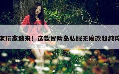 老玩家速来！这款冒险岛私服无魔改超纯粹