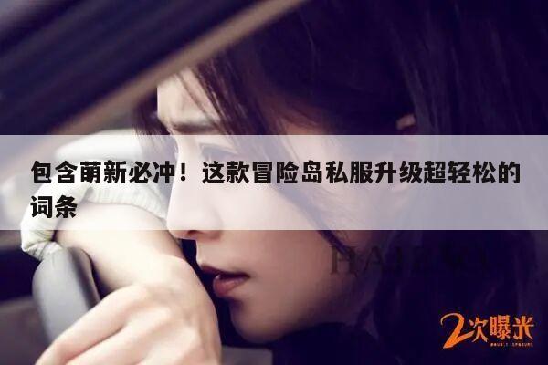 包含萌新必冲！这款冒险岛私服升级超轻松的词条