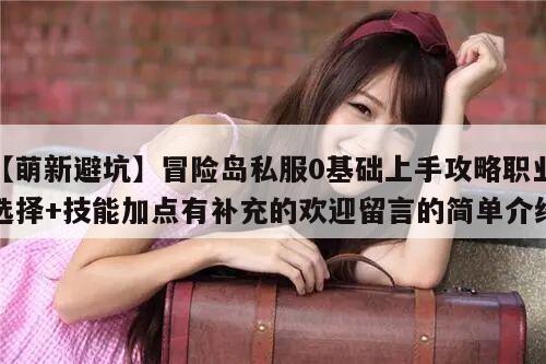 【萌新避坑】冒险岛私服0基础上手攻略职业选择+技能加点有补充的欢迎留言的简单介绍