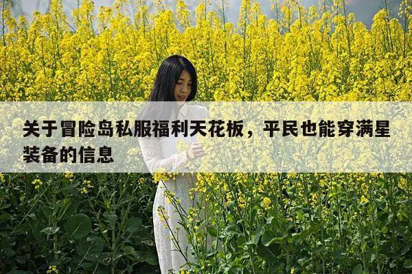 关于冒险岛私服福利天花板，平民也能穿满星装备的信息