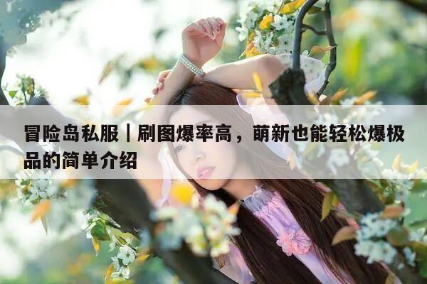 冒险岛私服｜刷图爆率高，萌新也能轻松爆极品的简单介绍