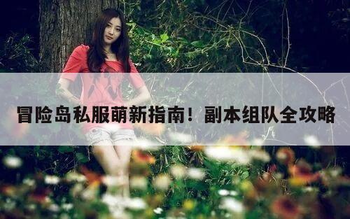 冒险岛私服萌新指南!副本组队全攻略