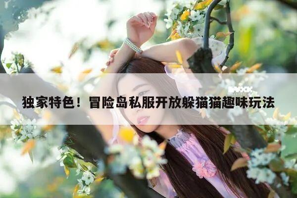 独家特色!冒险岛私服开放躲猫猫趣味玩法