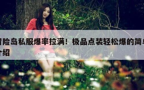 冒险岛私服爆率拉满！极品点装轻松爆的简单介绍
