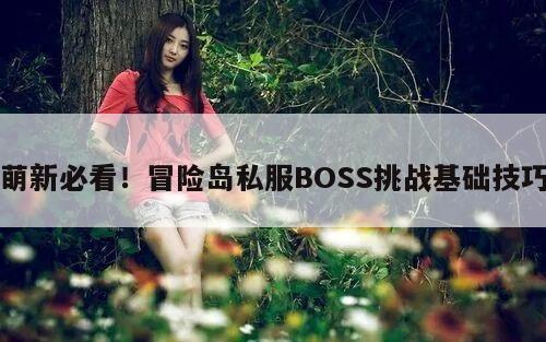 萌新必看！冒险岛私服BOSS挑战基础技巧