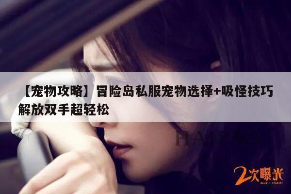 【宠物攻略】冒险岛私服宠物选择+吸怪技巧解放双手超轻松