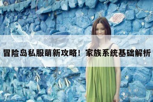 冒险岛私服萌新攻略！家族系统基础解析