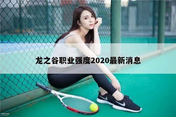 龙之谷职业强度2020最新消息